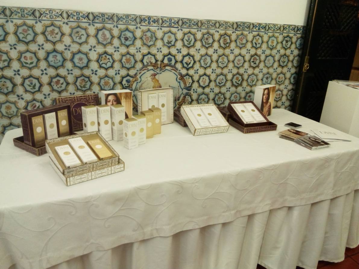 Workshop da DVINE